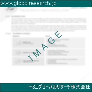 グローバルリサーチ調査資料のイメージ